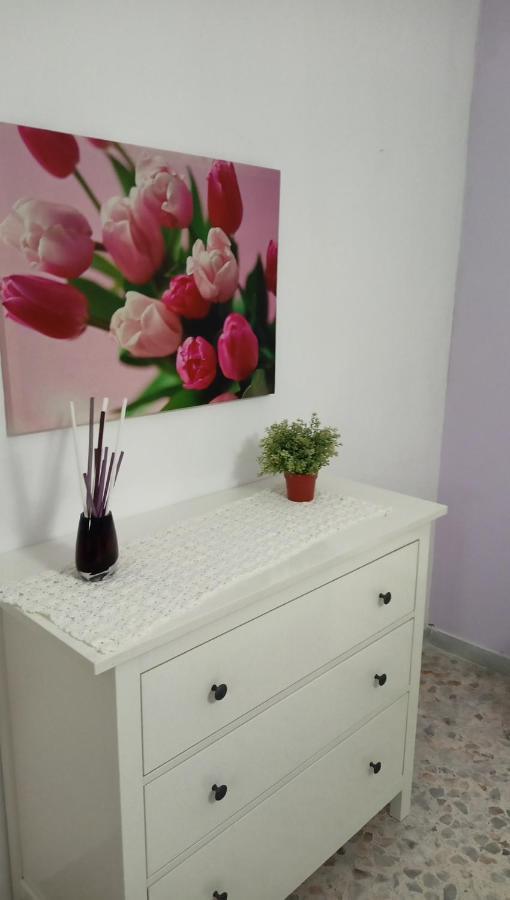 La Cittadella Apartment Amalfi Coast Salerno Dış mekan fotoğraf